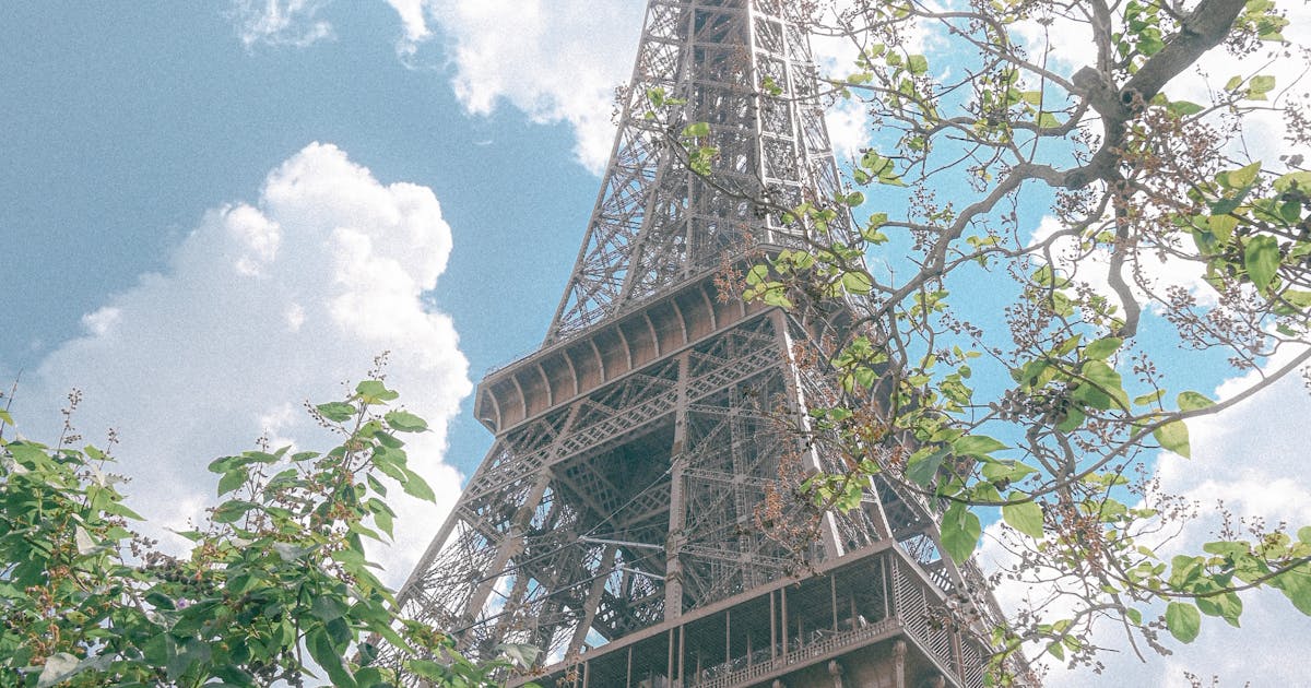 Nuisibles printemps 2026 : tendances et alerte JO de Paris