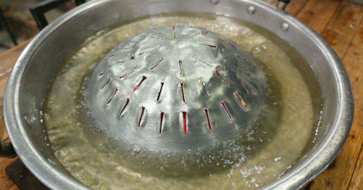 Traitement des punaises de lit : vapeur ou chimique ?