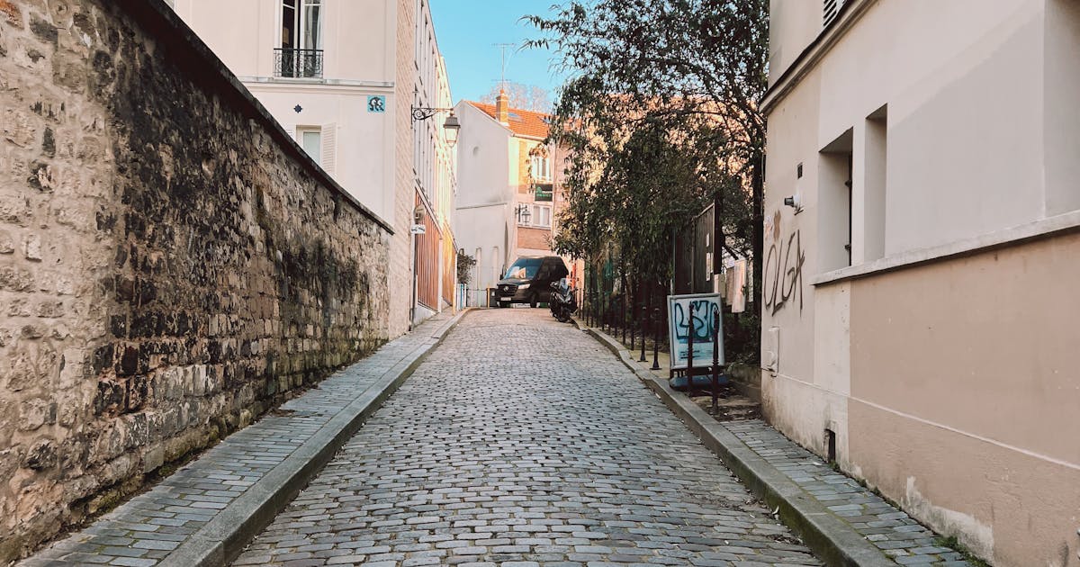 Rats à Paris : les arrondissements les plus infestés en 2026